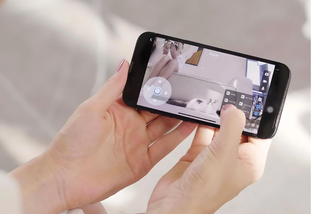 camera to watch pets while away